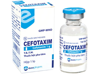 Khuyến cáo đặc biệt với kháng sinh Cefotaxim