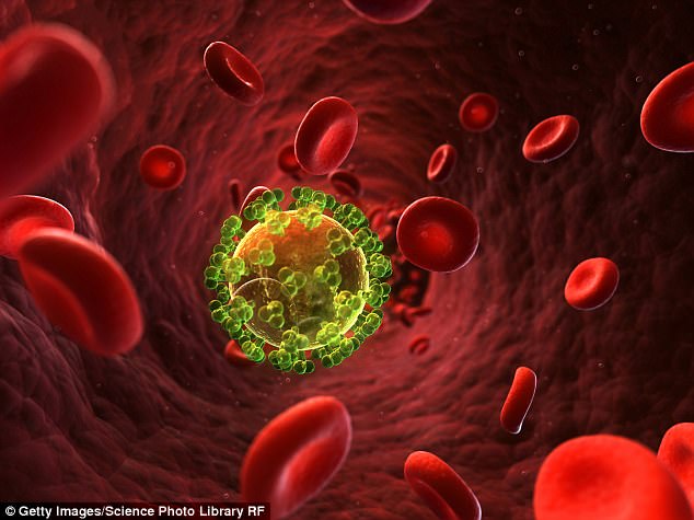 Nghiên cứu đột phá điều trị AIDS: “Tiêm” kháng thể HIV cho tế bào