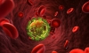 Nghiên cứu đột phá điều trị AIDS: “Tiêm” kháng thể HIV cho tế bào